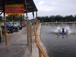Kolam pancing bawal 30 lapak, harian & sewa, buka siang malam. Menarikdisabakbernam Kolam Pancing Sungai Nibong Menarik Di Central