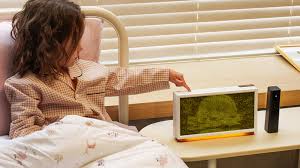 Moss Echo By Moss Lab: The Smart Device With A Natural Twist