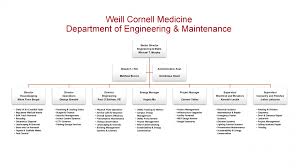 organization chart engineering and maintenance