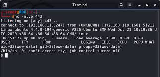 Image result for tbn:HYHUNTcEEKbvFM::img262.imageshack.us/img262/6572/nilezn4.jpg