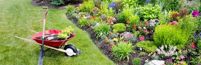 Do you have brown or yellow patches? Austin Tx Tree Lawn Care Services 512 Landscaping