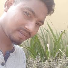 Brazilian rattlesnakes ( Crotalus durissus terrificus) during venom  extractions today.