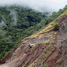Rainforests Reduce Erosion