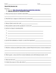 You place the specimenslide on the stage. Dna Extraction Virtual Lab Worksheet Nidecmege