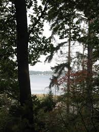 The clam band is a wide stretch of sand and gravel extending. Birch Bay State Park A Washington State Park Located Near Bellingham Blaine And Ferndale