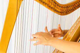 This beginner irish harp tutorial teaches you how to play the irish lever harp, step by step. How To Play The Celtic Harp A Beginner S Guide