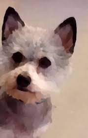 The Story of Ding (Ding the Dare Devil Dog Book 1)