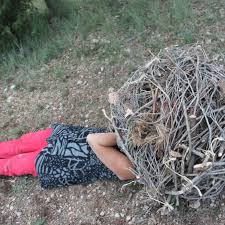 Bildergebnis für Eve Ariza