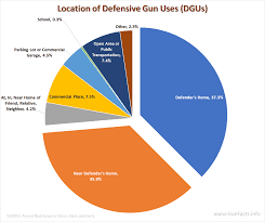 Gun Facts Infographics Concerning Gun Control