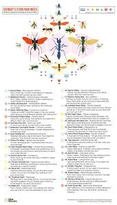 Pin On Biology Charts