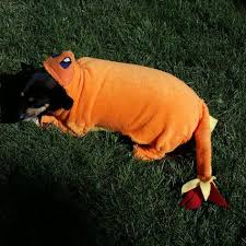 Milasmilasdogclothes Shared A New Photo On Etsy Xl Dog Clothes Pokemon Halloween Costume Dog Shirt