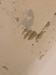 Image result for site:byggahus.se laga-puts