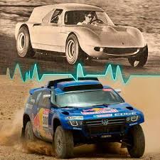 Profile for Torino Liebre