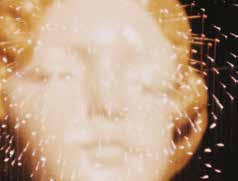 Looking for Mushrooms: Bruce and Jean Conner in Mexico, 1961–1962