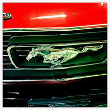 Horse Power Chevrolet Logo Horses Vehicle Logos
