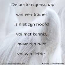 21 Valkuilen Die Je Trainingsdoelstelling Belemmeren Grappige Paarden Mooie Paarden