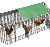 Como Hacer Ponedero O Nido Casero Para Gallinas O Aves