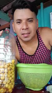 Nances fermentados para el rico ponche de diciembre.