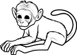 Beautiful monkeys coloring page to print and color. Funny Monkey Coloring Pages Coloring Home