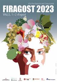 Dimecres 26 de juliol de 2023 by Diari Més