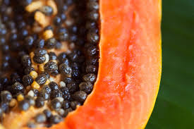 We did not find results for: Cut Open Ripe Papaya Fruit With Seeds By Anya Brewley Schultheiss Seed Pulp