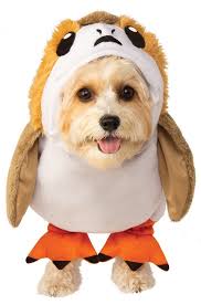 Can you think of some reason why people don't keep dogs or cats? Beetlejuice Dog Fancy Dress Halloween Tim Burton Ghost Puppy Animal Pet Costume Clothing Shoes Accessories Rateshop Costumes Reenactment Theater
