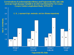 Cardiorespiratory Fitness The Triglyceride Hdl Ratio And Coronary Heart Disease Mortality Risk In Men Cooper Institute