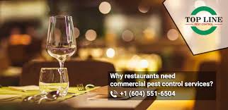 Regular pest control treatments by a licensed exterminator company can go a long way to preventing a problem a perhaps no business along the food supply chain is more threatened by pests than restaurants. Why Restaurants Need Commercial Pest Control Services