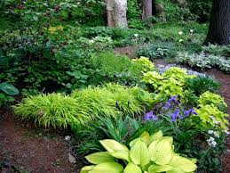 Shade Perennials Zone 7 Garden Designs Foundation Shrubs 7a Shade Landscaping Shade Garden Design Shade Garden