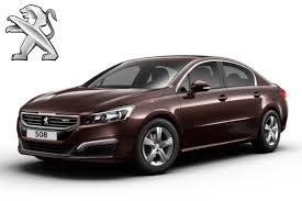 Image result for Brun Guaranja 2011 Citroen