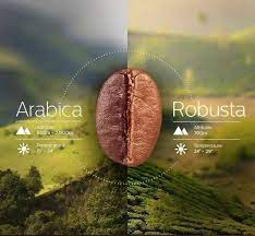 Coffee Arabica X Robusta Cafe Coffee Coffee Beans Coffee Cafe Coffee Roasting
