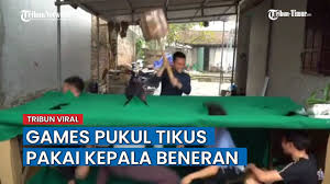 Laporan menyebut wanita ini tak berkaitan dengan virus corona. Begini Serunya Lima Remaja Ini Main Games Pukul Tikus Yang Mukul Dendam Waktu Kecil Terbalaskan Youtube