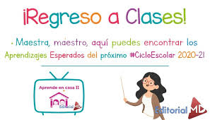 Aprendizajes Esperados Aprende En Casa