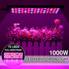 Total kilowatts x kwh x hours per day x 30 (days). Buy 1000w Led Grow Light Full Spectrum Usb Light Strip Led Phyto Lamp For Plants Flowers Greenhouse Hydroponic At Affordable Prices Free Shipping Real Reviews With Photos Joom