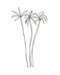 Three Tall Palm Trees Art By Linda Woods By Linda Woods Palm Tree Art Palm Tree Drawing Palm Tree Tattoo