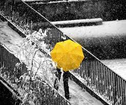 Black And Yellow Make What Color Yellow In Snow Yellow Umbrella Shades Of Yellow Yellow Color