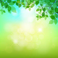 Pin By سمانه On My Saves In 2020 Natural Background Fresh Green Green Leaves