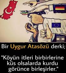 Esmanur Sertkaya Adli Kullanicinin Vatan Panosundaki Pin Ilham Verici Sozler Gercekler Ozlu Sozler