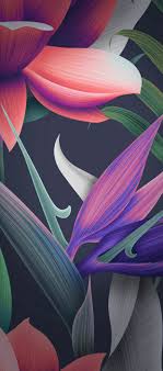 Black And Purple Flowers Wallpaper Floral Black Purple Orange Pink Wallpaper Clean Galaxy Colour A Papel De Parede Para Samsung Galaxy Papel De Parede Da Galaxia Samsung Papel De Parede