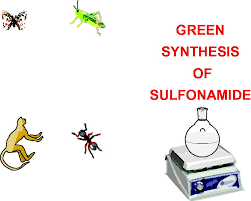Image result for Sulfonamide