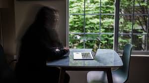 Over 300,000 fans come to see ted nugent, aerosmith, santana, dave mason, foreigner, heart and more. Korean Adoptees Felt Isolated And Alone For Decades Then Facebook Brought Them Together Rest Of World