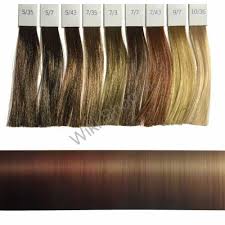 Illumina Color Wella Coloration Warm Shades