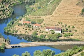 Check spelling or type a new query. Bulas Port Wine Country