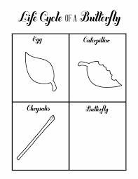 Butterfly Life Cycles Butterfly Life Cycle Kindergarten Butterfly Life Cycle