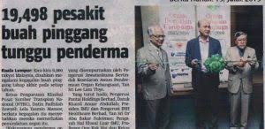 Buah pinggang yang sihat mengeluarkan sejenis hormon yang dikenali sebagai erythropoietin atau epo. Tanda Tanda Penyakit Buah Pinggang Cili Hijau Cili Hijau