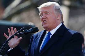 Image result for trump