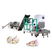 Electric Garlic Clove Separator / Fresh Garlic Peeling Machine / Colour  Sorter Machine