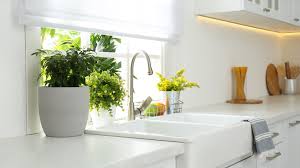 Luckily, there are a lot of easy ways to unclog your drain! You Should Never Put Coffee Grounds Down Your Garbage Disposal Here S Why