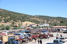 Hayvan Pazari Akdagmadeni Belediyesi
