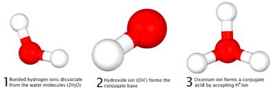 In this lesson you will learn about. Acid Base Reaction Wikipedia